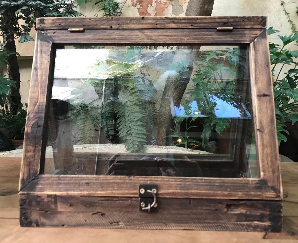 Vitrina de Madera Triangular Mediana — Bindilou